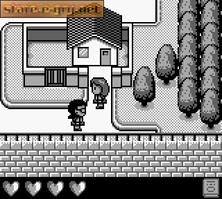 Purikura Pocket: Fukanzen Joshikousei Manual