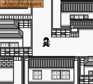 Ranma Nibun no Ichi: Kakugeki!!