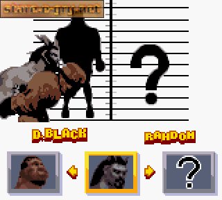 Ready 2 Rumble Boxing