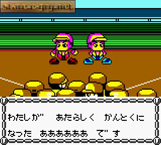 Real Pro Yakyuu!: Central League Hen