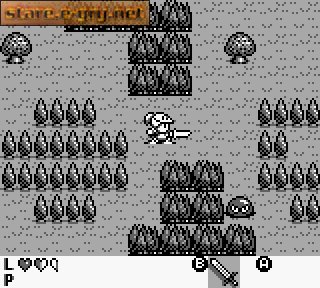 Rolan's Curse