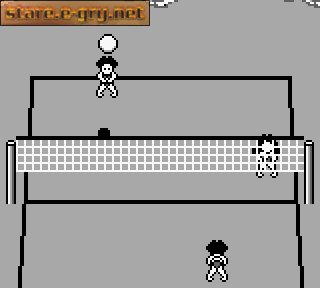 Seaside Volley