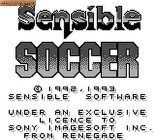 Sensible Soccer: European Champions