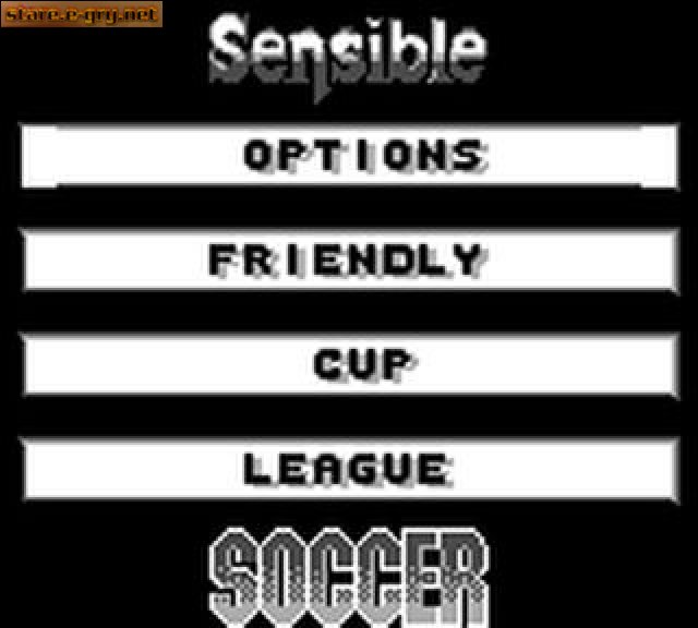 Sensible Soccer: European Champions