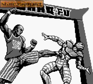 Shaq Fu