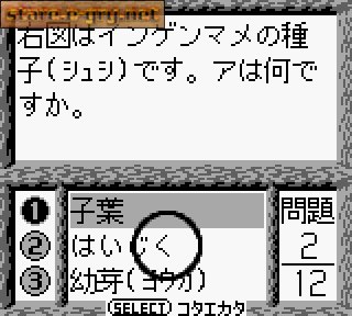 Shikakui Atama o Maru Kusuru: Rika Battle-Hen