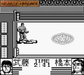 Shin Nippon Pro Wrestling: Toukon Sanjushi