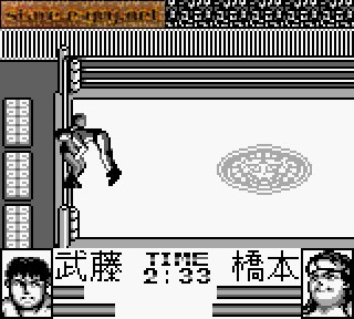 Shin Nippon Pro Wrestling: Toukon Sanjushi