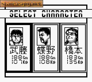 Shin Nippon Pro Wrestling: Toukon Sanjushi