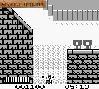 Skate or Die: Bad 'N Rad