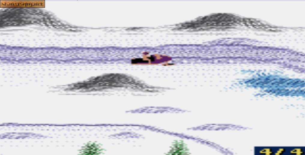 SnowCross