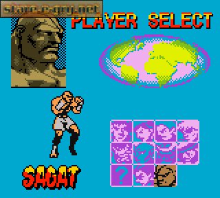 Street Fighter Alpha: Warriors' Dreams
