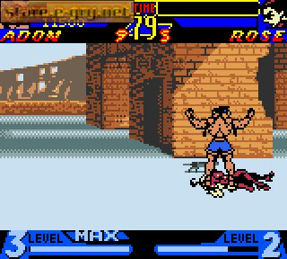 Street Fighter Alpha: Warriors' Dreams