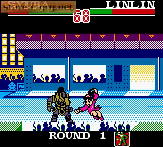 Super Chinese Fighter EX