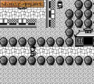 Super Chinese Land 3