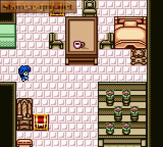 Tales of Phantasia: Narikiri Dungeon