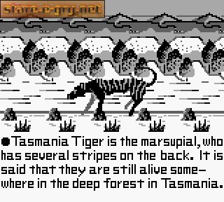 Tasmania Story