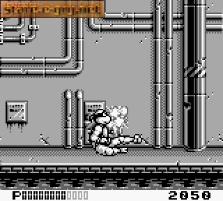 Teenage Mutant Hero Turtles: Back from the Sewers