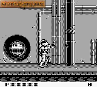 Teenage Mutant Hero Turtles: Back from the Sewers