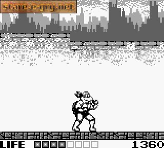 Teenage Mutant Hero Turtles: Fall of the Foot Clan