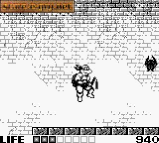 Teenage Mutant Hero Turtles: Fall of the Foot Clan