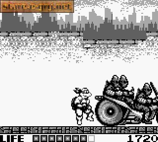 Teenage Mutant Hero Turtles: Fall of the Foot Clan