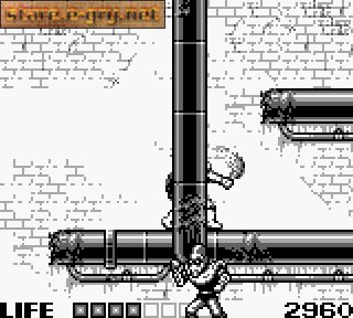 Teenage Mutant Hero Turtles: Fall of the Foot Clan