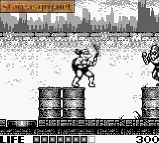 Teenage Mutant Hero Turtles: Fall of the Foot Clan