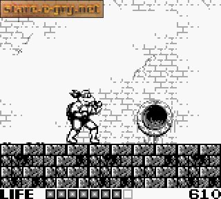 Teenage Mutant Hero Turtles: Fall of the Foot Clan