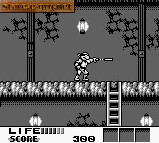 Teenage Mutant Hero Turtles III: Radical Rescue