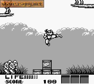 Teenage Mutant Hero Turtles III: Radical Rescue