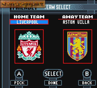 The F.A. Premier League Stars 2001