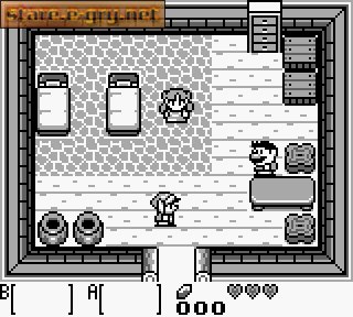 The Legend of Zelda: Link's Awakening