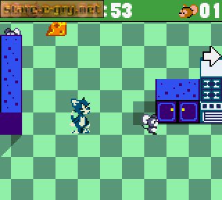 Tom and Jerry: Mouse Hunt