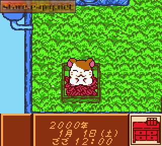 Tottoko Hamutarou: Tomodachi Daisakusen Dechu