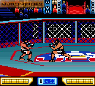 Ultimate Fighting Championship