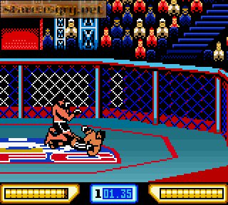 Ultimate Fighting Championship