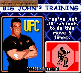 Ultimate Fighting Championship