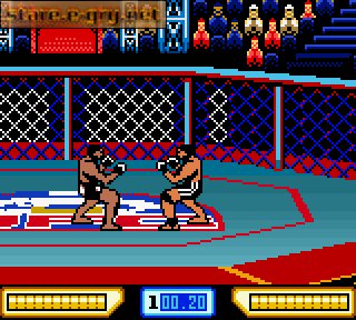 Ultimate Fighting Championship