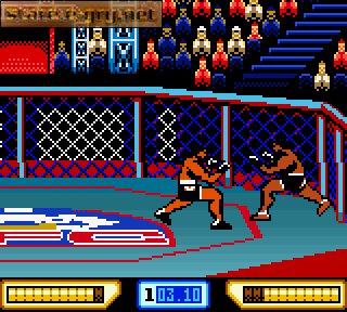 Ultimate Fighting Championship