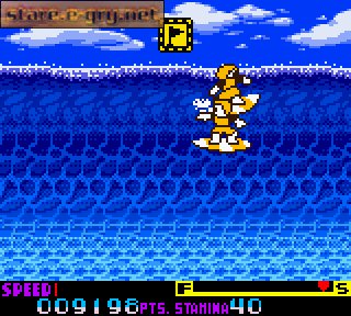 Ultimate Surfing