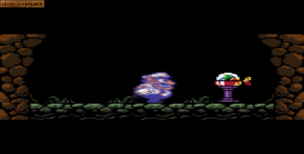 Wario Land 3