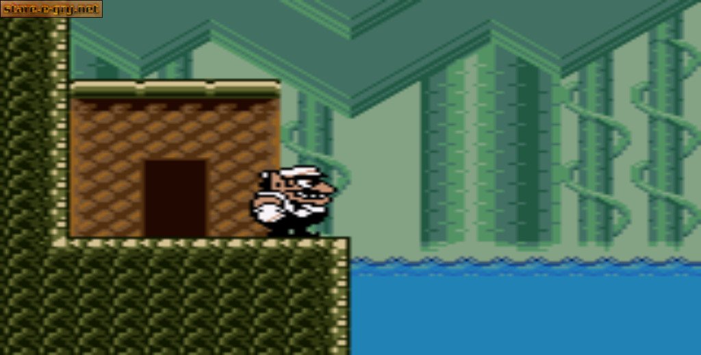 Wario Land 3