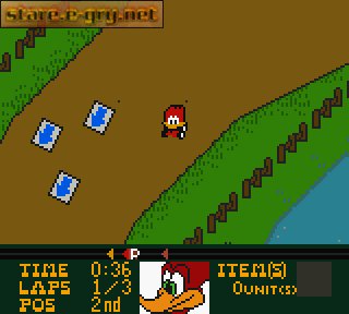 Woody Woodpecker Racing