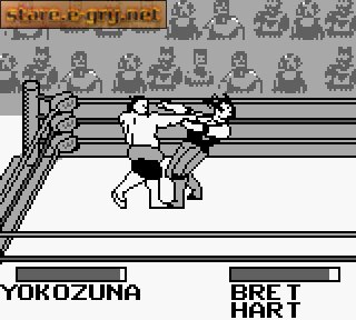WWF King of the Ring