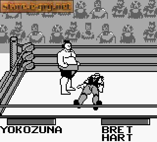 WWF King of the Ring