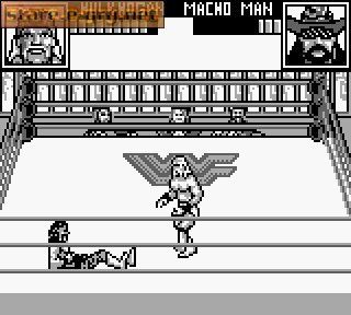 WWF Superstars 2
