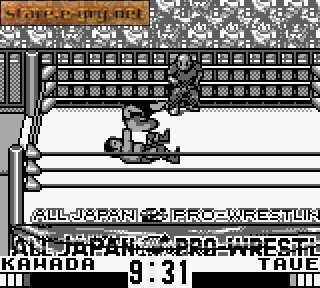 Zen-Nippon Pro Wrestling Jet