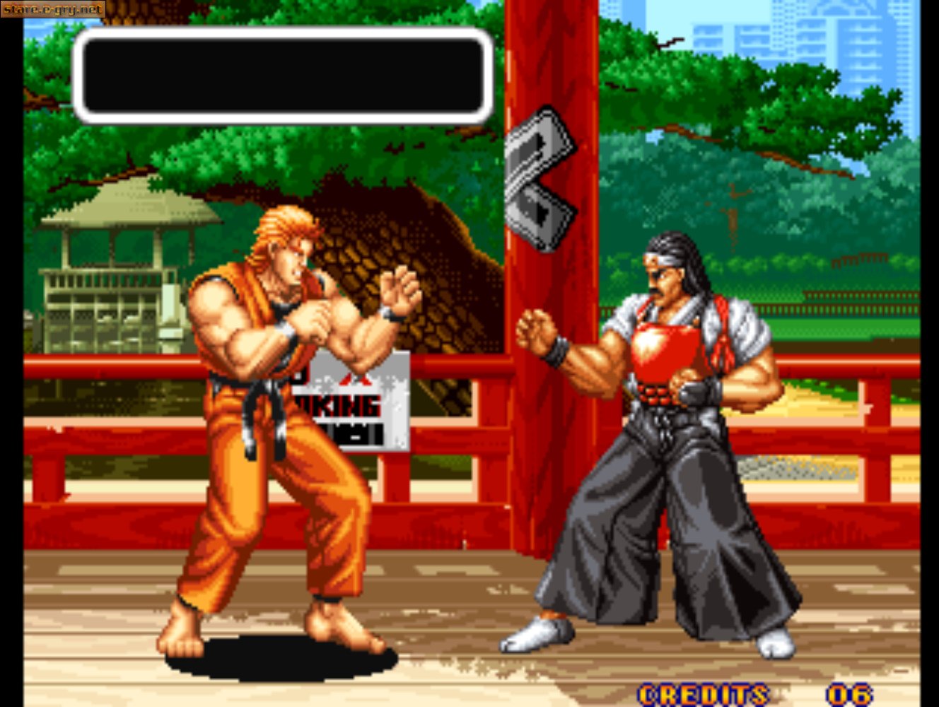 Art of Fighting