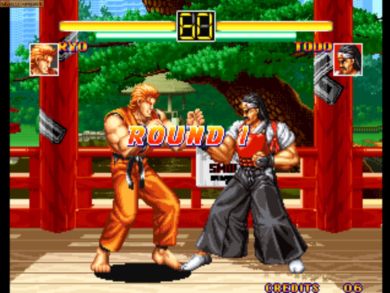 Art of Fighting